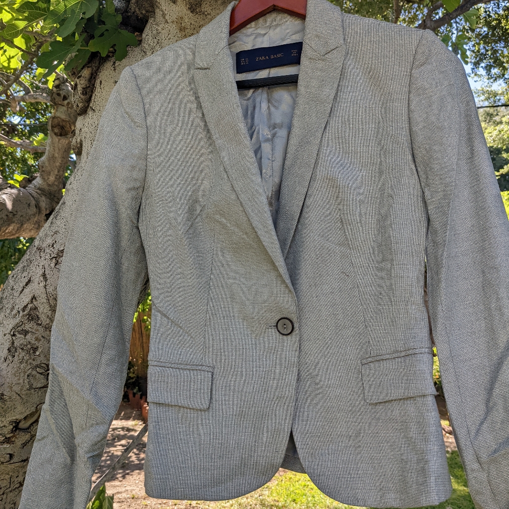 Zara Basic Blazer (Xs)